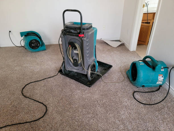 Best Fire Damage Restoration  in Mcgraw, NY