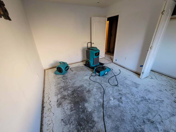 Best Ceiling water damage repair  in Mcgraw, NY