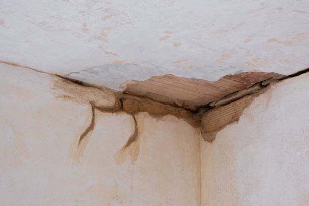 Mcgraw, NY Water damage restoration Company