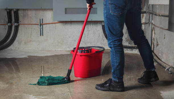 Best Water damage mitigation services  in Mcgraw, NY