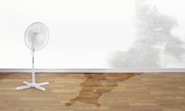 Best Professional water damage repair  in Mcgraw, NY