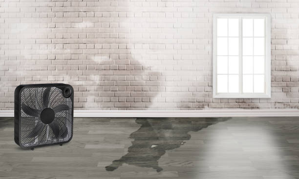 Best Fire Damage Restoration  in Mcgraw, NY