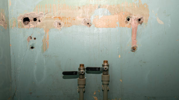 Best Water damage restoration near me  in Mcgraw, NY