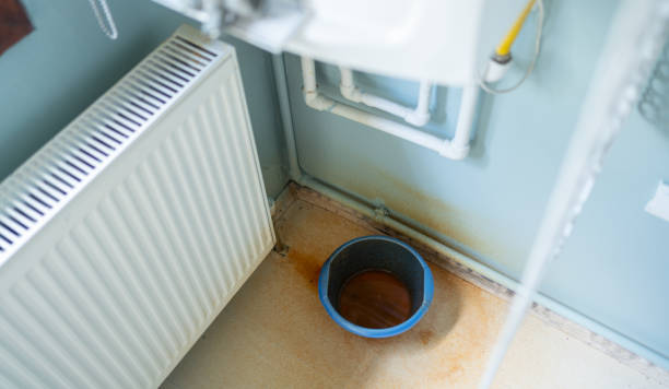 Best Basement water damage restoration  in Mcgraw, NY